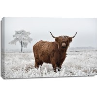 Cow - Frosty Irish Bovine II