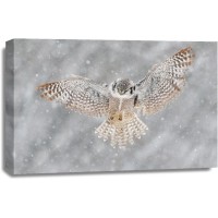 Owl - Flying - Winter Scene
