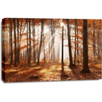 Theodor Climacus - Autumn Forest Sunset