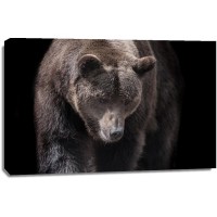 Bear - Busy Day