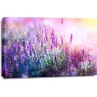 Matt Roots - Lavender Field - Light Exposed