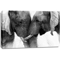 Elephant - Sincere Love