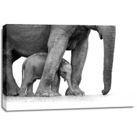 Elephant - Mother and Son
