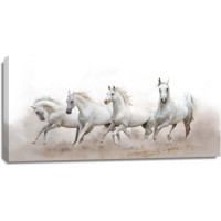 Horses - Morning Run