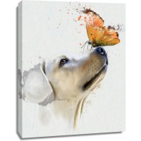 Dog - Golden Retriever with Butterfly