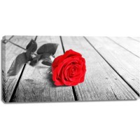 Rose Sanchez - Red Rose On The Jetty