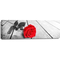 Rose Sanchez - Red Rose On The Jetty