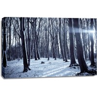 Romeo Delogu - Winter Sunrise In Forest