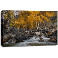Fall - Quiet River by the House