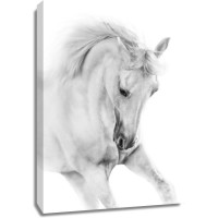 Horse - Running - First in Line