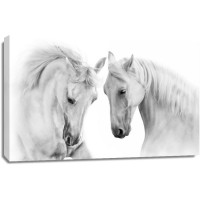 Horse - Nice Encounter
