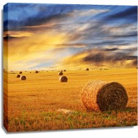 Farming - End of a tough Day