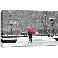 New York - Central Park - Winter Walk