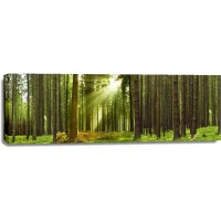Romeo Delogu - Summer Sunrise In Forest I