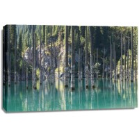 British Columbia - Flooded Forest by the Mountain