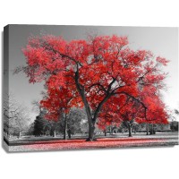 Karina Zampini - Lone Tree In Red II