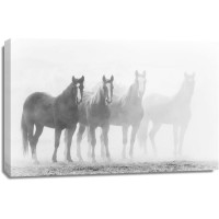 Horses - Line Up