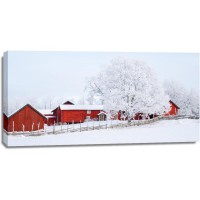 Codey Wicks - Winter - Red House Village III