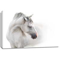 Horses - Flirt I