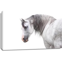 Horses - Flirt II
