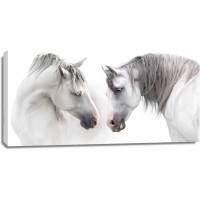 Horses - Flirt III