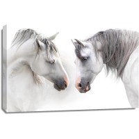 Horses - Flirt IV