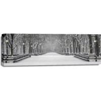 New York - Central Park - Lonely Snowy Walk