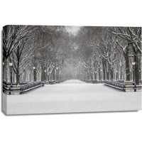 New York - Central Park - Lonely Snowy Walk