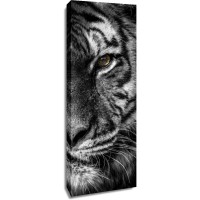 Tiger - Don't Make Me Roar - Two Faces