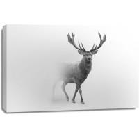 Foggy Wildlife - Caribou