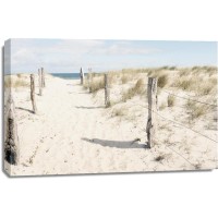 Luis Bond - Path to the Beach - Dune