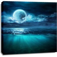 Liza Narayan - Full Moon - Beach View