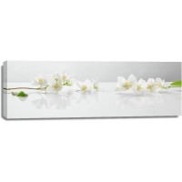 Omar Olavie - White Flowers