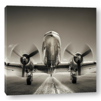 Adrian Smith - Airplane On A Runway