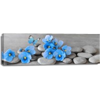 Omar Olavie - Zen Stones With Blue Flowers and Butterfly