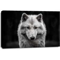 Wolf - Arctic White - Out of the Dark