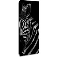 Zebra - Out of the Dark