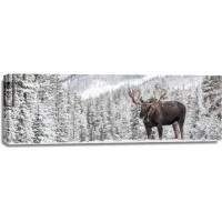 Moose - Just Stay Calm