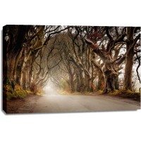 Bernardino Milano - Forest Path - The Haunted Road