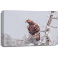 Bird - Chilling On Snowy Branch