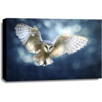 Owl - Flying High