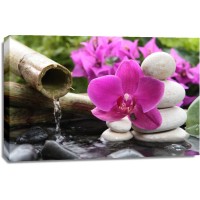 Omar Olavie - Water Source With Orchids