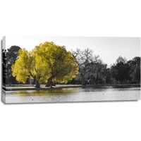 Karina Zampini - Lone Tree In Yellow V