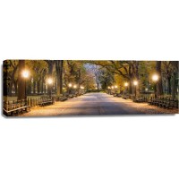 New York - Central Park - Night Out