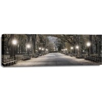 New York - Central Park - Night Out