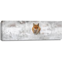 Fox - Lips Licking