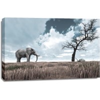 Elephant - Staring Contest - Colorized