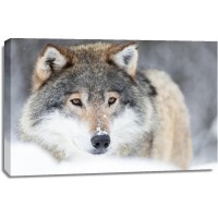 Wolf - Straight Out of Bed