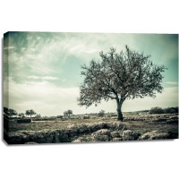 Karina Zampini - Lone Tree