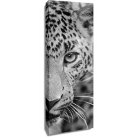Leopard - Two Faces